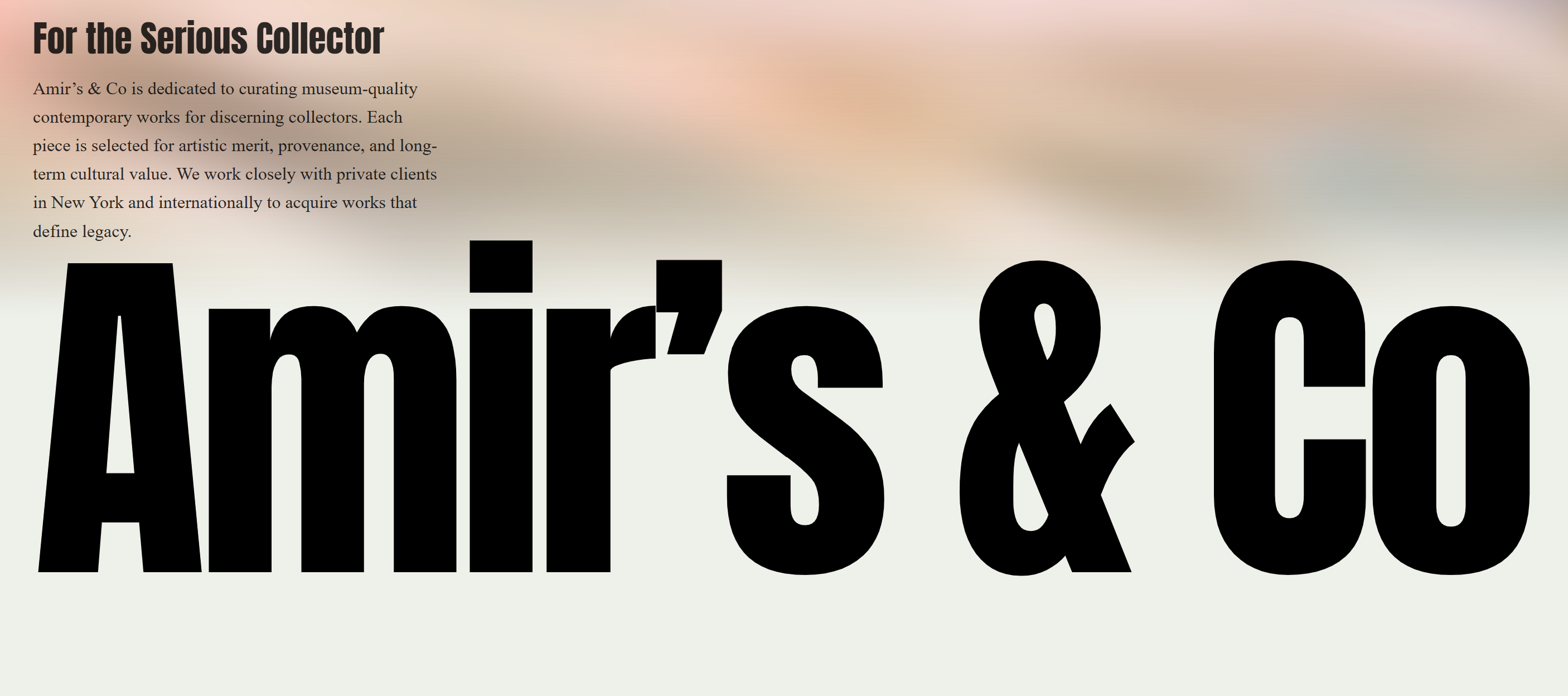 Amir’s & Co | Curated Contemporary Art & Private Collections